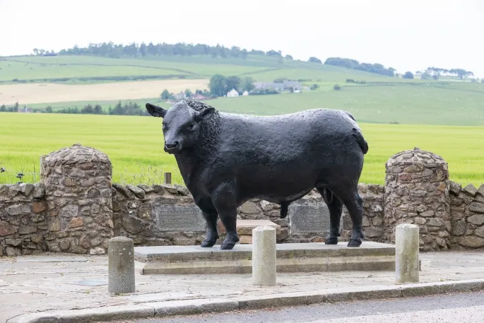 Alford Bull Statue